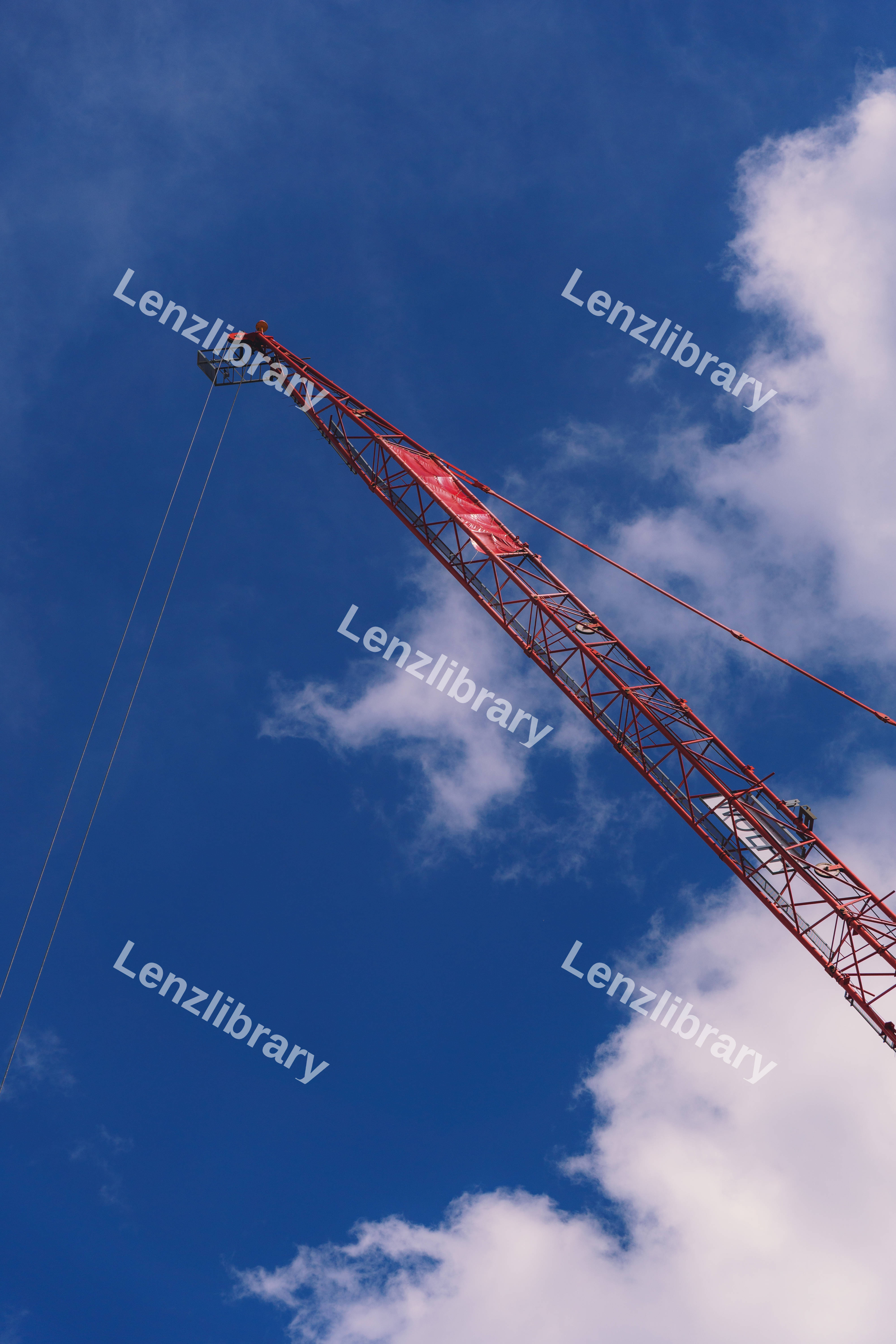Red Crane In The Sky